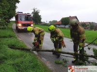 _2020-07-11 Baum über Straße__02